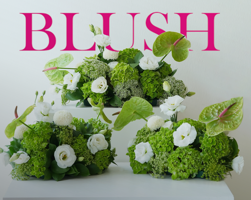 Blush Boutique