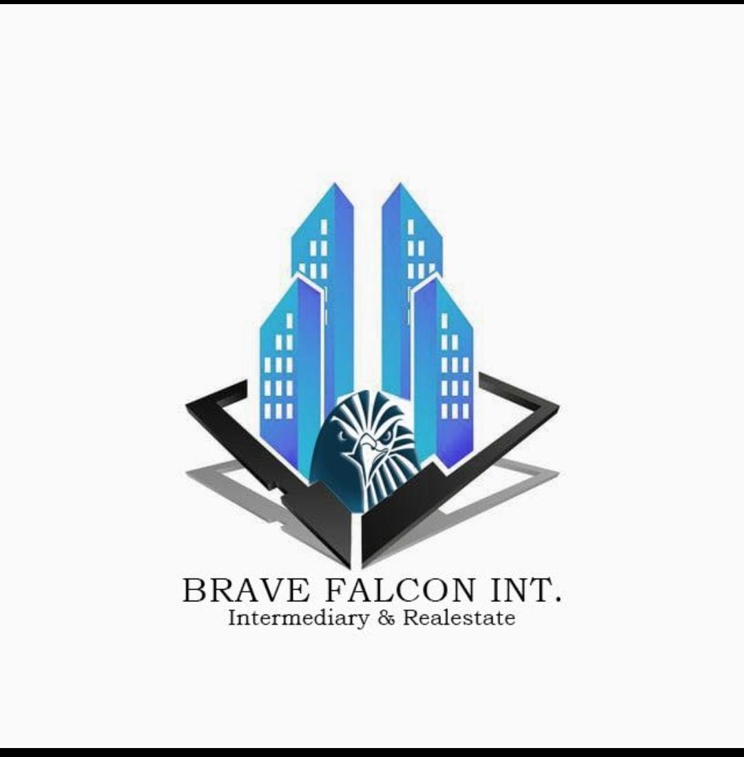 BRAVE FALCON TRADING INTERMEDIARY 203